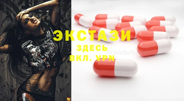 стаф Новозыбков