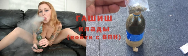 стаф Новозыбков