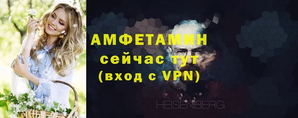 стаф Новозыбков