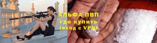 стаф Новозыбков