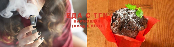 стаф Новозыбков