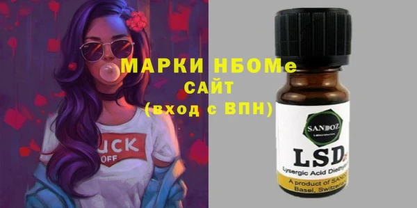 стаф Новозыбков
