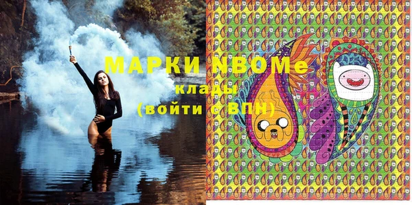 стаф Новозыбков