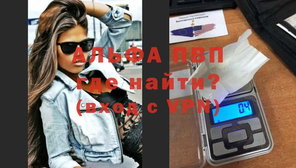 стаф Новозыбков