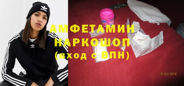 стаф Новозыбков