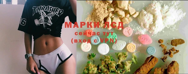 стаф Новозыбков